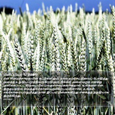 பிலிப்பியர் 1:7 TAMIRV Bible Verse Image