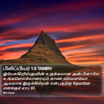 பிலிப்பியர் 1:8 TAMIRV Bible Verse Image
