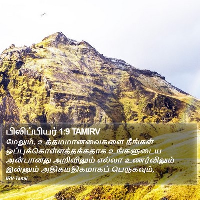 பிலிப்பியர் 1:9 TAMIRV Bible Verse Image