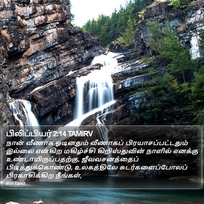 பிலிப்பியர் 2:14 TAMIRV Bible Verse Image