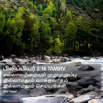 பிலிப்பியர் 2:16 TAMIRV Bible Verse Image