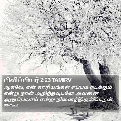 பிலிப்பியர் 2:23 TAMIRV Bible Verse Image