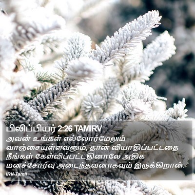 பிலிப்பியர் 2:26 TAMIRV Bible Verse Image