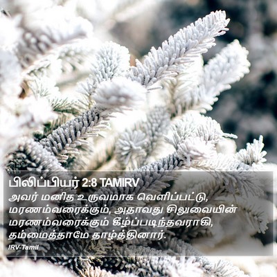 பிலிப்பியர் 2:8 TAMIRV Bible Verse Image