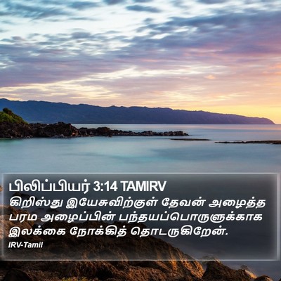 பிலிப்பியர் 3:14 TAMIRV Bible Verse Image
