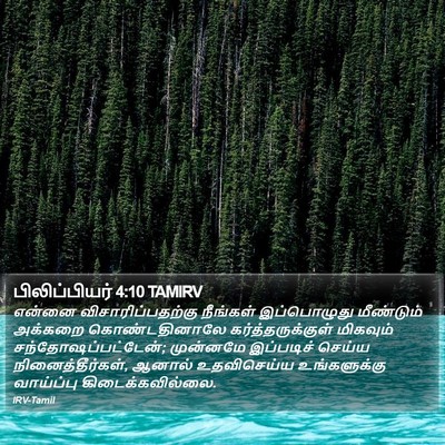 பிலிப்பியர் 4:10 TAMIRV Bible Verse Image