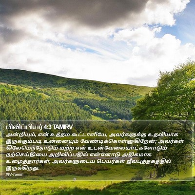 பிலிப்பியர் 4:3 TAMIRV Bible Verse Image