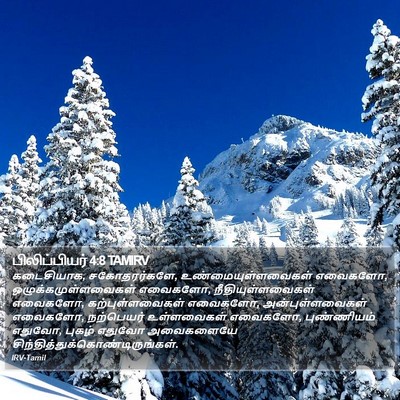 பிலிப்பியர் 4:8 TAMIRV Bible Verse Image