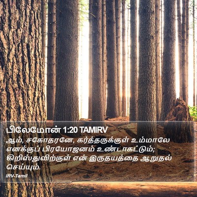 பிலேமோன் 1:20 TAMIRV Bible Verse Image
