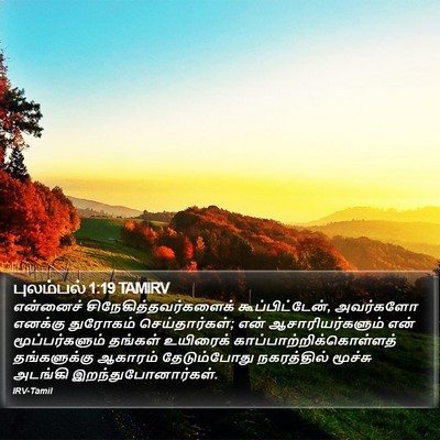 புலம்பல் 1:19 TAMIRV Bible Verse Image