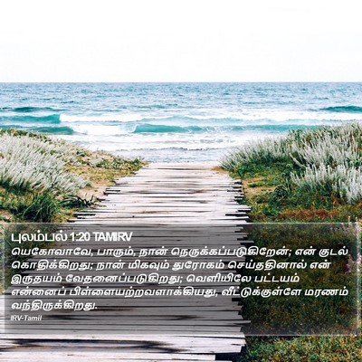 புலம்பல் 1:20 TAMIRV Bible Verse Image