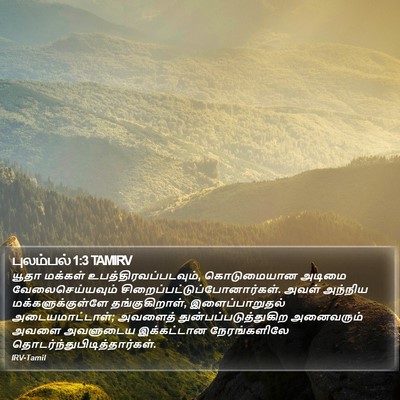 புலம்பல் 1:3 TAMIRV Bible Verse Image