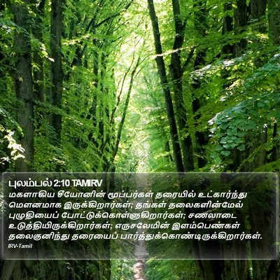 புலம்பல் 2:10 TAMIRV Bible Verse Image