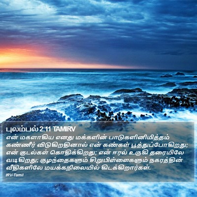 புலம்பல் 2:11 TAMIRV Bible Verse Image