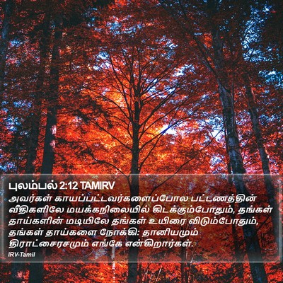 புலம்பல் 2:12 TAMIRV Bible Verse Image