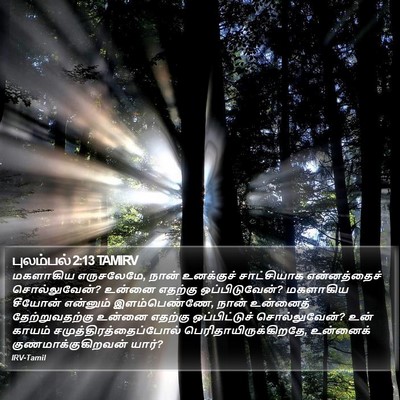 புலம்பல் 2:13 TAMIRV Bible Verse Image