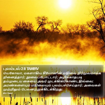 புலம்பல் 2:8 TAMIRV Bible Verse Image