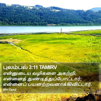 புலம்பல் 3:11 TAMIRV Bible Verse Image