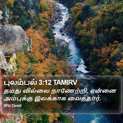 புலம்பல் 3:12 TAMIRV Bible Verse Image