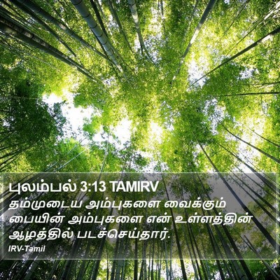 புலம்பல் 3:13 TAMIRV Bible Verse Image
