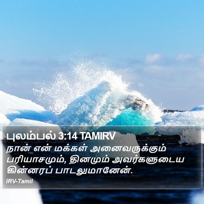 புலம்பல் 3:14 TAMIRV Bible Verse Image