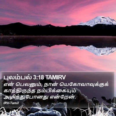 புலம்பல் 3:18 TAMIRV Bible Verse Image