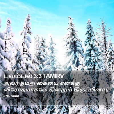 புலம்பல் 3:3 TAMIRV Bible Verse Image