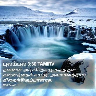 புலம்பல் 3:30 TAMIRV Bible Verse Image