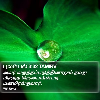 புலம்பல் 3:32 TAMIRV Bible Verse Image