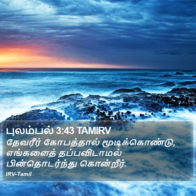 புலம்பல் 3:43 TAMIRV Bible Verse Image