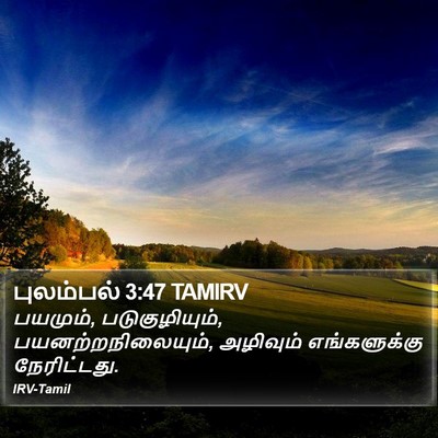 புலம்பல் 3:47 TAMIRV Bible Verse Image