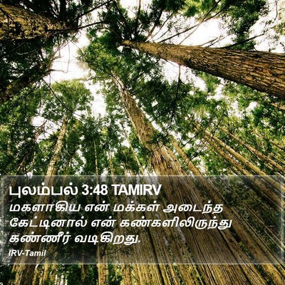 புலம்பல் 3:48 TAMIRV Bible Verse Image
