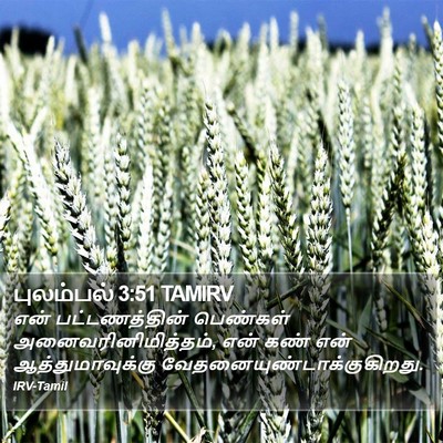 புலம்பல் 3:51 TAMIRV Bible Verse Image