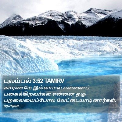புலம்பல் 3:52 TAMIRV Bible Verse Image