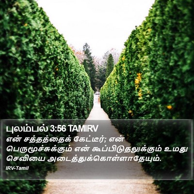 புலம்பல் 3:56 TAMIRV Bible Verse Image