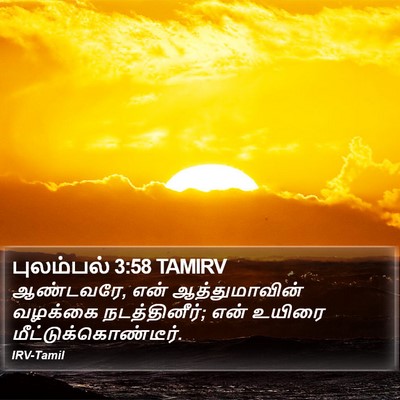 புலம்பல் 3:58 TAMIRV Bible Verse Image