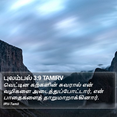 புலம்பல் 3:9 TAMIRV Bible Verse Image