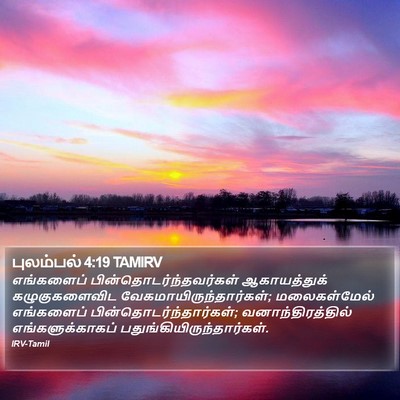 புலம்பல் 4:19 TAMIRV Bible Verse Image