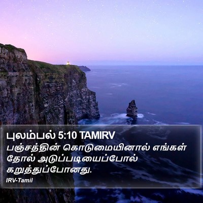 புலம்பல் 5:10 TAMIRV Bible Verse Image