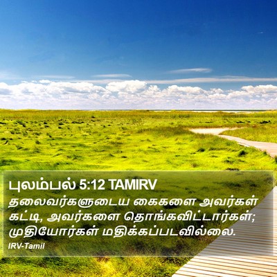 புலம்பல் 5:12 TAMIRV Bible Verse Image