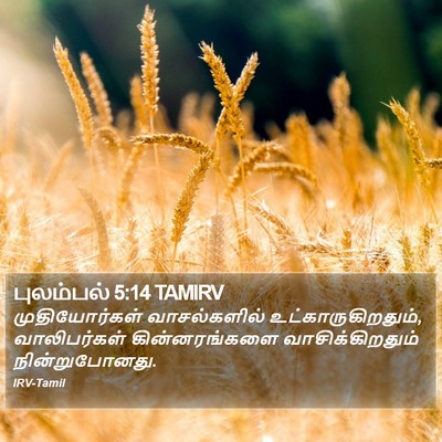 புலம்பல் 5:14 TAMIRV Bible Verse Image