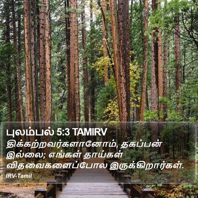புலம்பல் 5:3 TAMIRV Bible Verse Image