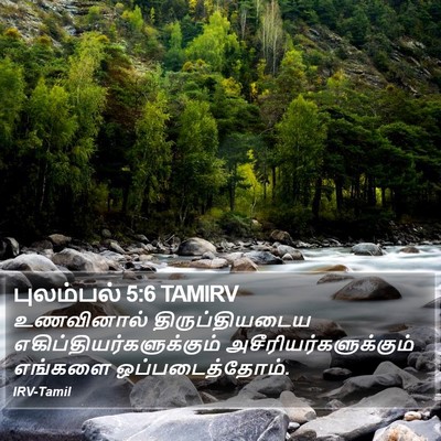 புலம்பல் 5:6 TAMIRV Bible Verse Image