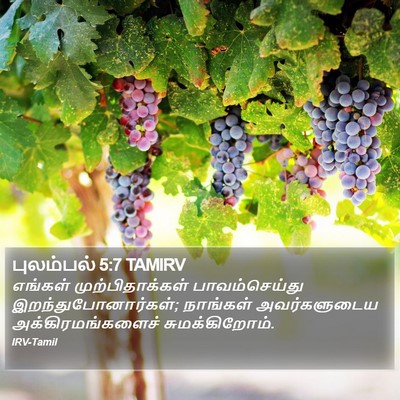 புலம்பல் 5:7 TAMIRV Bible Verse Image