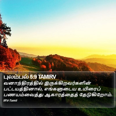 புலம்பல் 5:9 TAMIRV Bible Verse Image