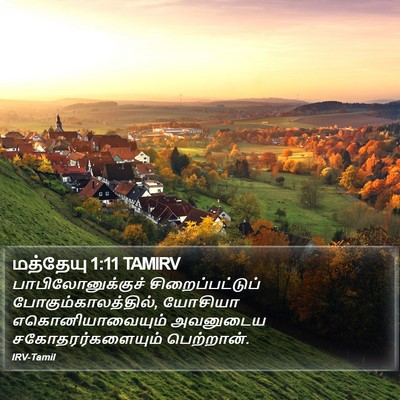 மத்தேயு 1:11 TAMIRV Bible Verse Image