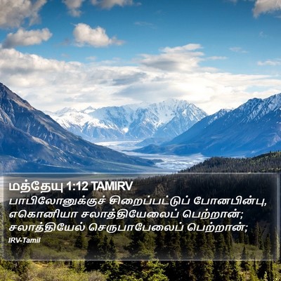 மத்தேயு 1:12 TAMIRV Bible Verse Image