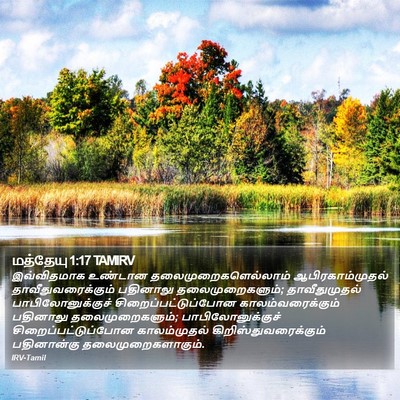 மத்தேயு 1:17 TAMIRV Bible Verse Image