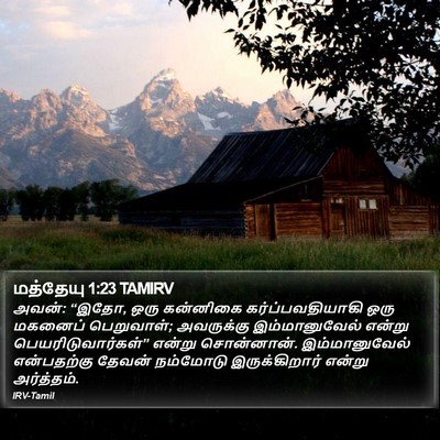 மத்தேயு 1:23 TAMIRV Bible Verse Image