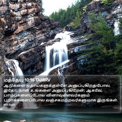 மத்தேயு 10:16 TAMIRV Bible Verse Image